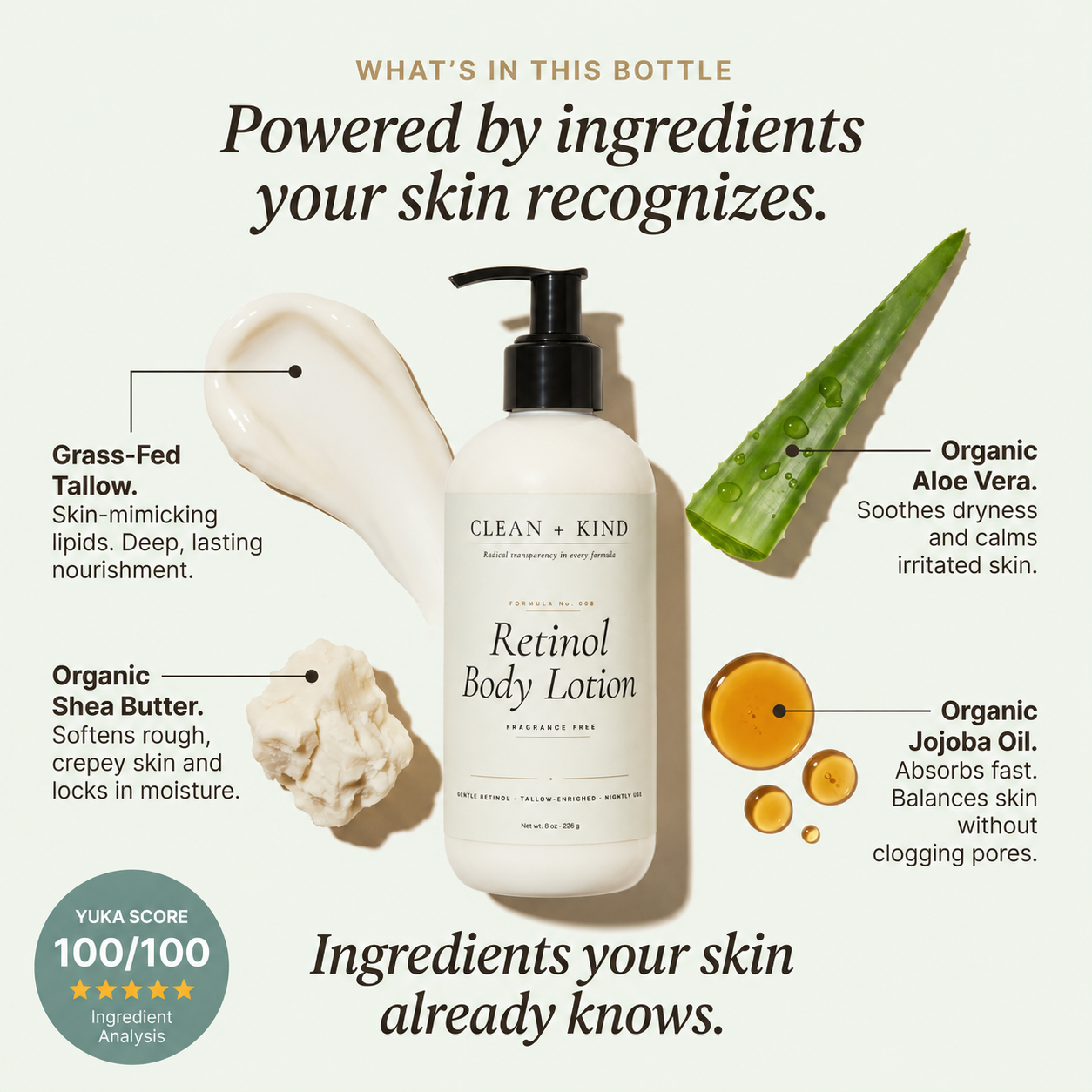 Retinol Body Lotion, 8 oz — Grass-Fed Tallow, Niacinamide, Shea, Jojoba, & Hyaluronic Acid