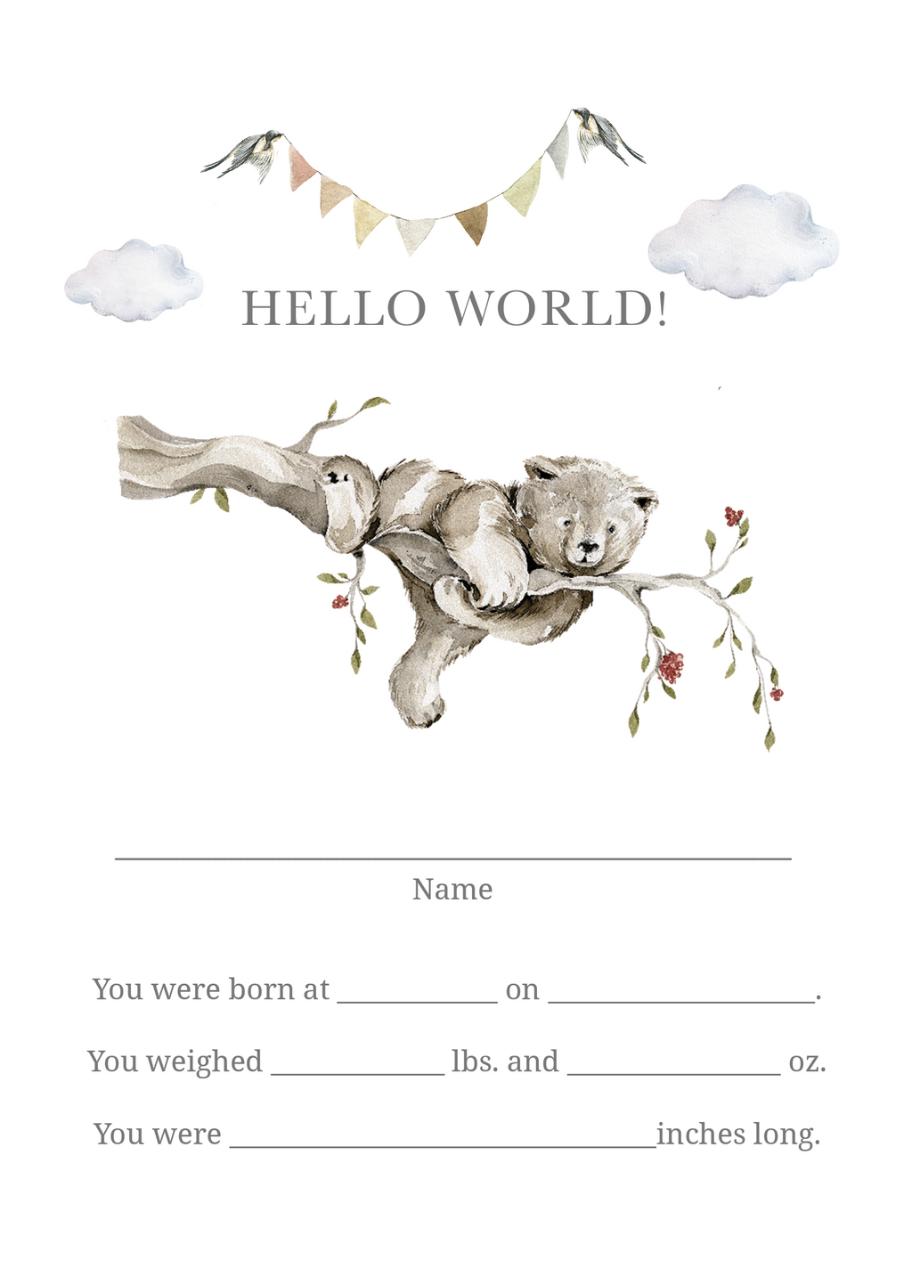 Baby Bundles: Beyond Measure #1 (Take Home Box) - Newborn Boy - Includes 5 YR Memory Book